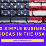 50 Simple Business Ideas In The USA To Start In 2022!