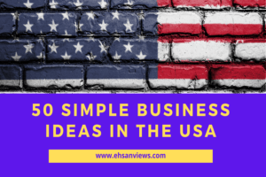 Read more about the article 50 Simple Business Ideas In The USA To Start In 2022!
