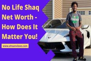 Read more about the article No Life Shaq Net Worth – How Does It Matter You!
